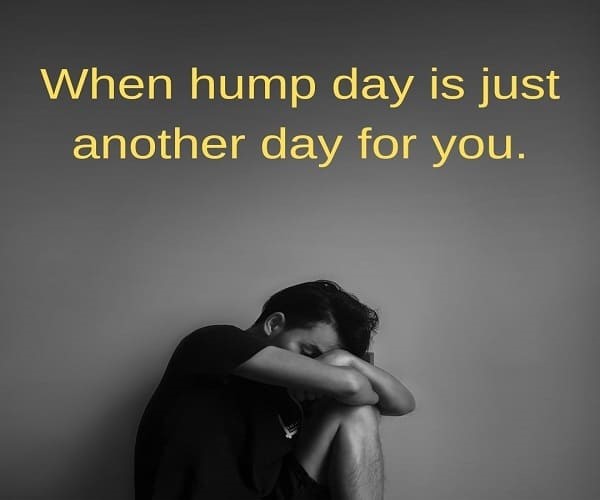 hump day meme | happy hump day | happy hump day meaning