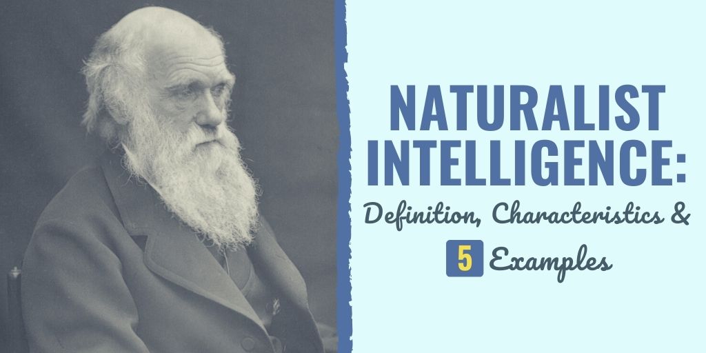 naturalist intelligence | naturalist intelligence activities | naturalist intelligence examples