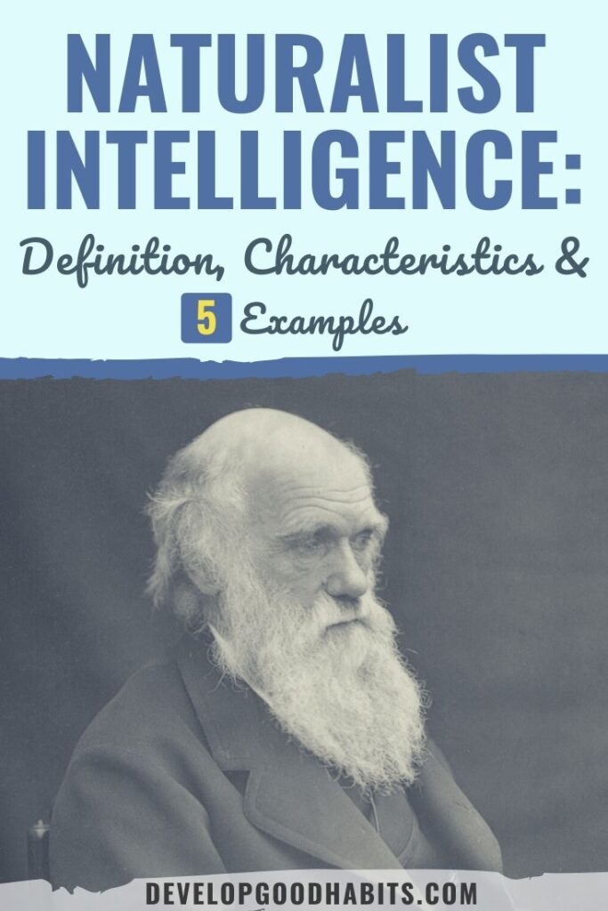 naturalist intelligence | naturalist intelligence activities | naturalist intelligence examples