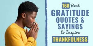 gratitude quotes | best gratitude quotes | top gratitude quotes