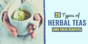 28 Types of Herbal Teas (and Their Benefits) Discover 30 Types of Herbal Teas and Their Benefits in this ultimate guide to choosing the best herbal teas for your needs.